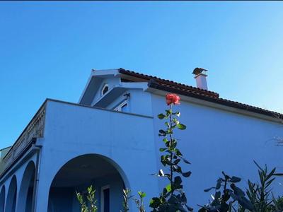 Apartment Katavić