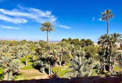 Chez Amazigh Riad