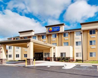 Comfort Inn Mount Airy, 写真 2
