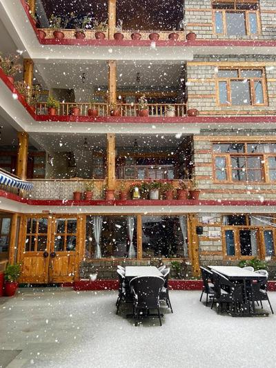 The Tiger Eyes Hotel