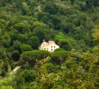 Le Petit Chateau