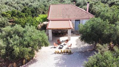 Oleopetra