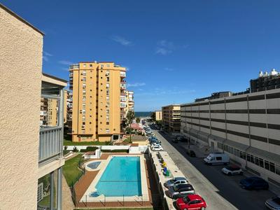 La gaviota Torremolinos