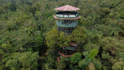 La Casa del Árbol