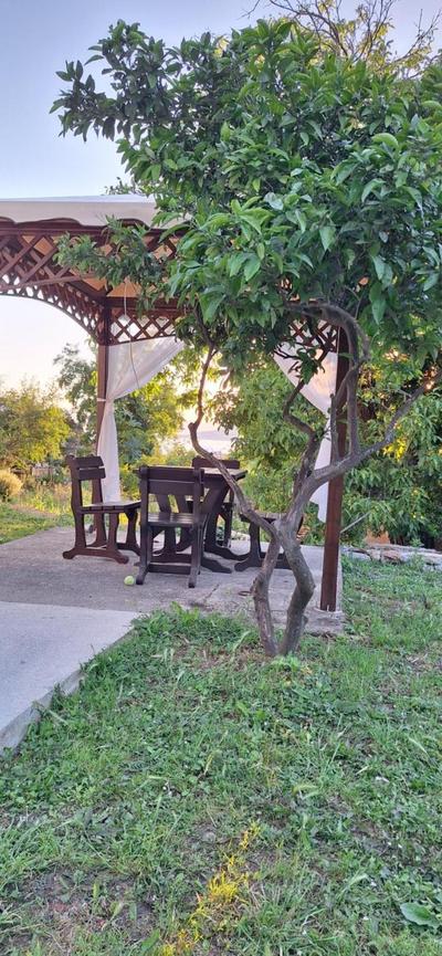 Apartman Nadja