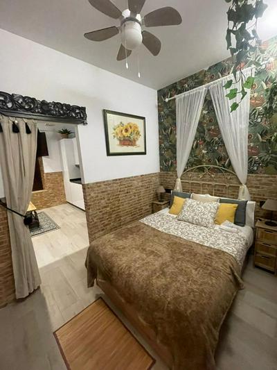 Cañal Urban Apartment