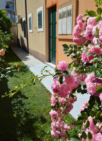 Apartment Garden View Makarska