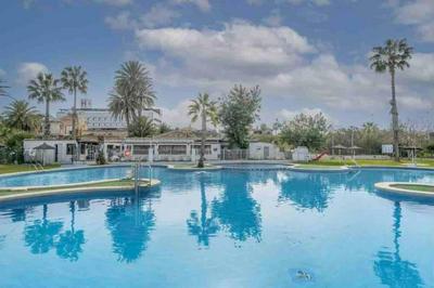 Adosado torrevieja lago jardin 1