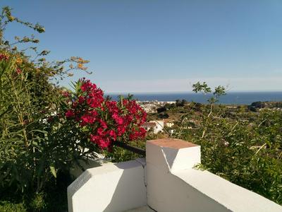 Finca Guay