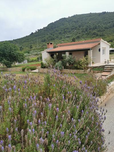 Holiday Home Cvitka