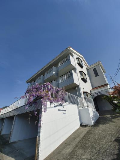 Grand Blue Shirahama