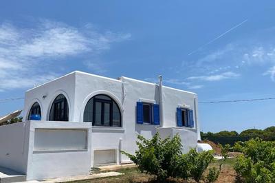Blue and White Paros private house