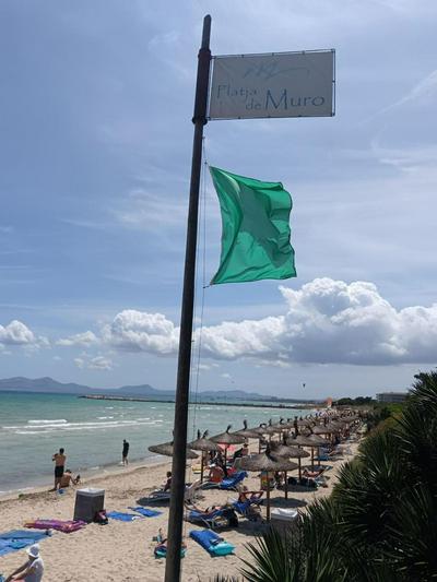SeaHorse Oasis