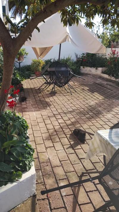 CASA JUANNE iun P2043