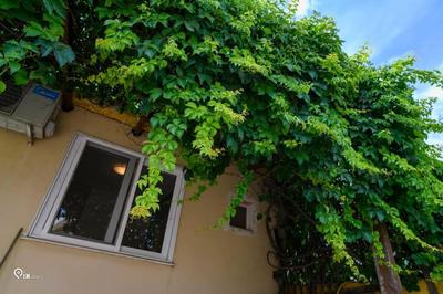 Rustic - Private Rooftop Garden & City View Studio in Egaleo-Athens