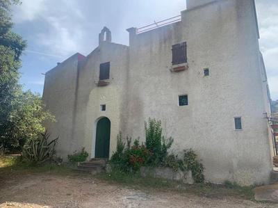 Farm House Olive