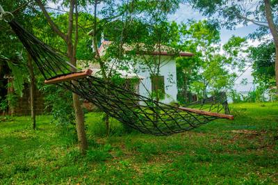 Lake Scape Yala Safari inn