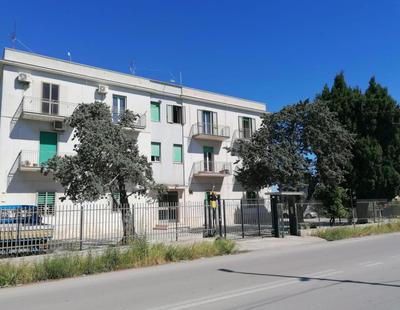 Le Rondini