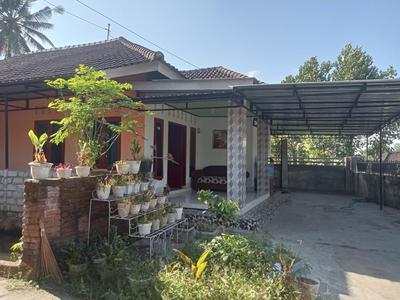 Zinzi's All-Inclusive Homestay