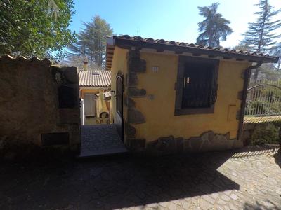 Antico Castagno