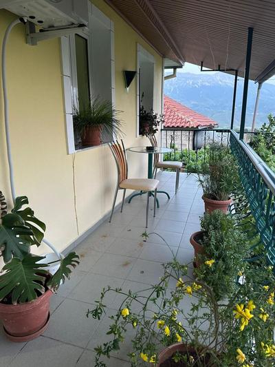 Geri Guesthouse