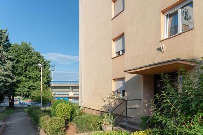 Apartment Noah