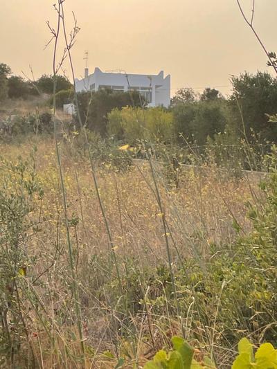 Villa Shivani