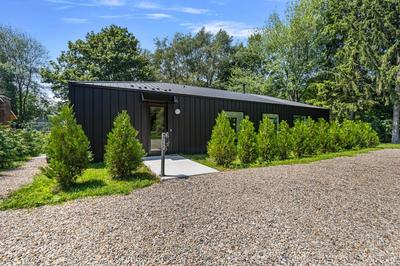 Owlwood by Juniper Holiday + Home