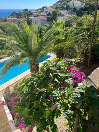 Amazing view villa