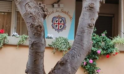 Elisart Guest House