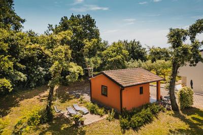 Apartments Olea