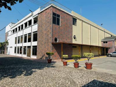 Hotel California Pacific Palm