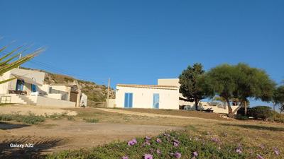 AbuNagia seaside villa garden