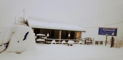 Resort Pailaaag Orchard & Restaurant