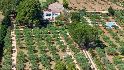 Casa Lory - Castellammare del Golfo a 3 Km dalla Spiaggia con Piscina
