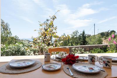 Blue Vista Triple Apartment