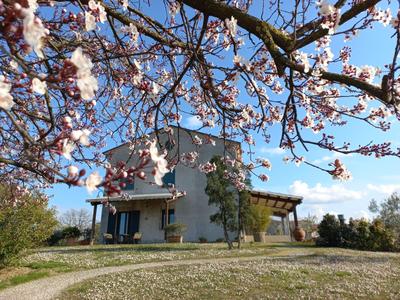 Ettaro Verde studio apartment for holidays