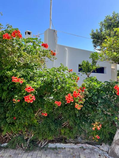 Villa Aliki Piskopiano