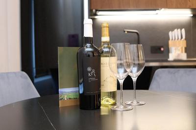 Charming & Luxurious Suite Garibaldi BIG - Fully equipped & renovated - Old Town