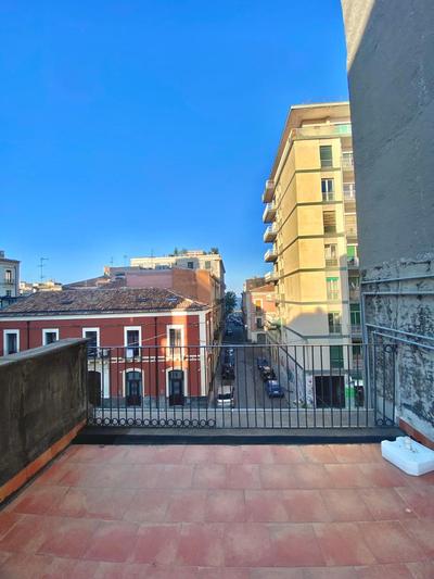 Terranova House 19