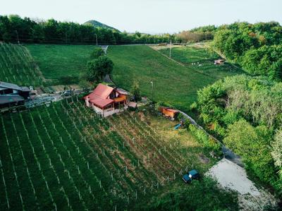 Apartment Pri Braceku - Odmor u prirodi - Nature Retreat & Relaxation