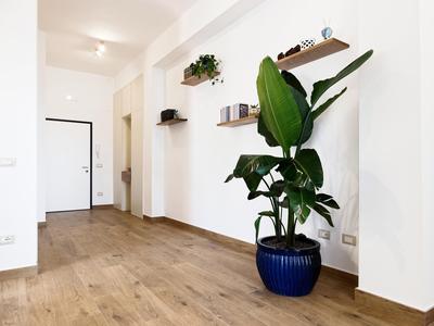 Susanna Boutique Home