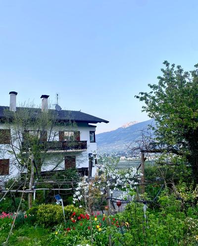 Appartement Primula - Haus Midi