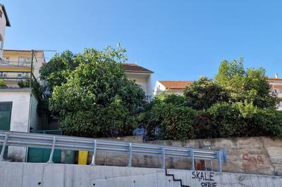 Green oasis in the city