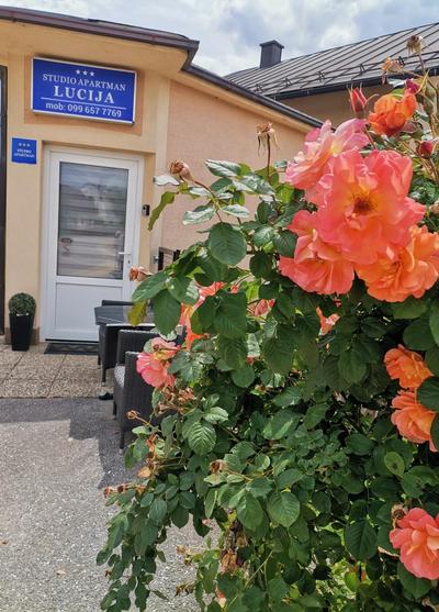 Lucija