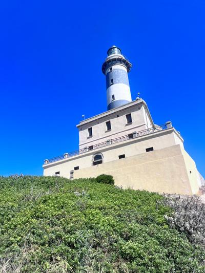 Ichnos experience room