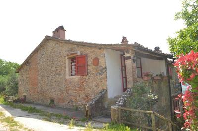 Il Rustico Vicopisano