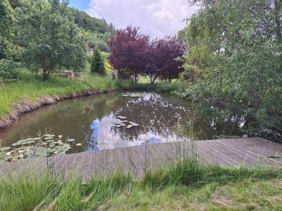 House on a sunny meadow
