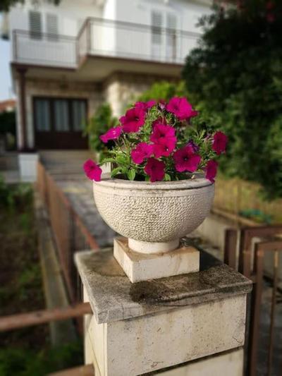 Apartman Petar