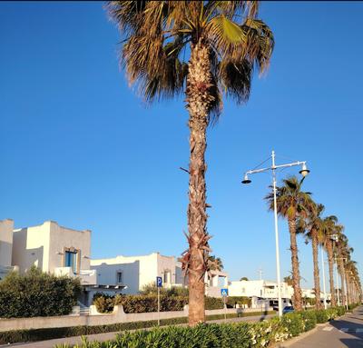 Piccolo Principe Appartments-Superior Class & Pool Residence